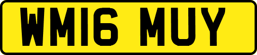 WM16MUY