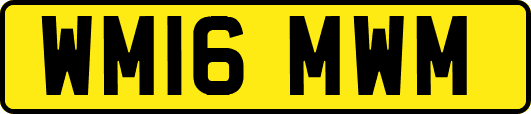 WM16MWM