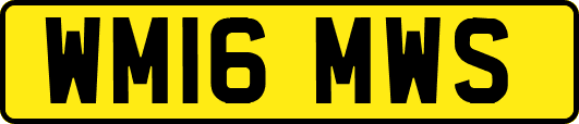 WM16MWS