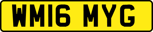 WM16MYG