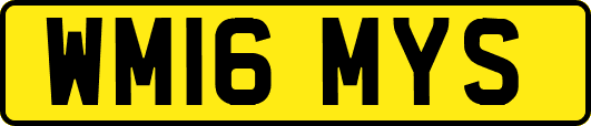 WM16MYS