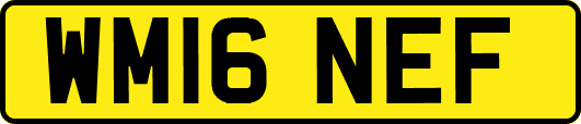 WM16NEF