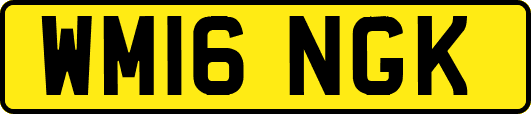 WM16NGK