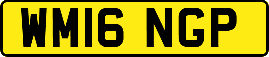 WM16NGP