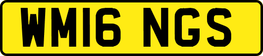 WM16NGS