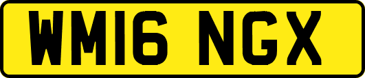 WM16NGX