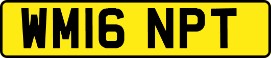 WM16NPT