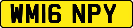 WM16NPY