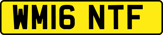 WM16NTF