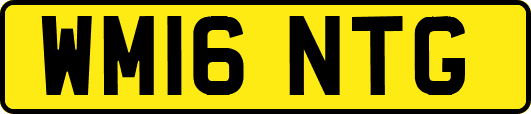 WM16NTG