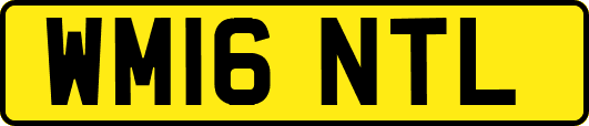 WM16NTL