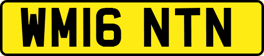 WM16NTN