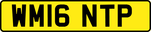 WM16NTP