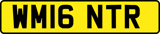 WM16NTR