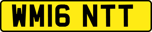 WM16NTT