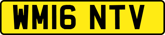 WM16NTV