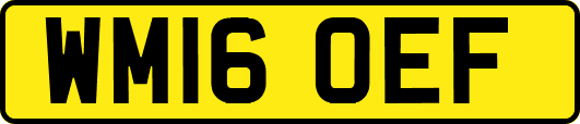 WM16OEF