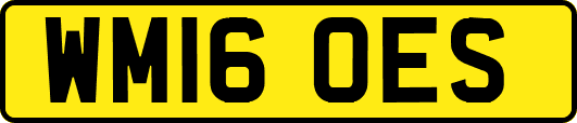 WM16OES