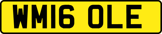 WM16OLE