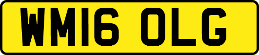WM16OLG