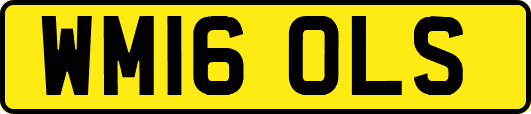WM16OLS