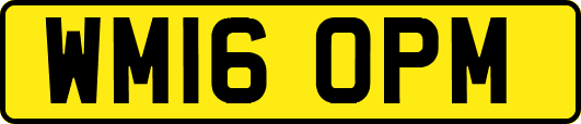 WM16OPM