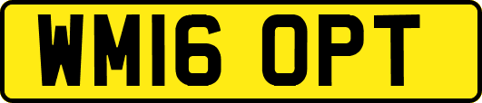 WM16OPT