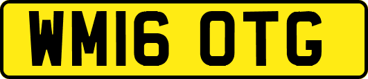 WM16OTG
