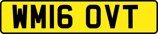 WM16OVT