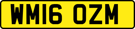 WM16OZM