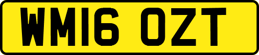 WM16OZT
