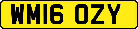 WM16OZY