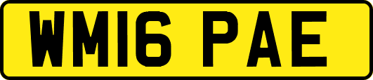 WM16PAE