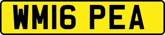 WM16PEA