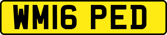 WM16PED