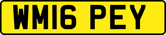 WM16PEY