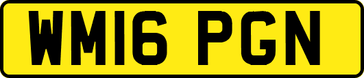 WM16PGN