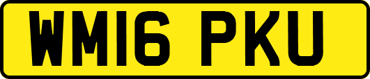 WM16PKU
