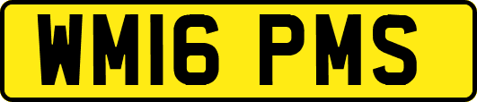 WM16PMS