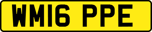 WM16PPE