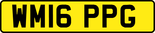 WM16PPG