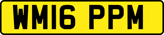 WM16PPM
