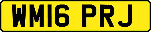 WM16PRJ