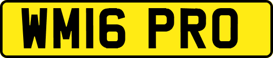 WM16PRO