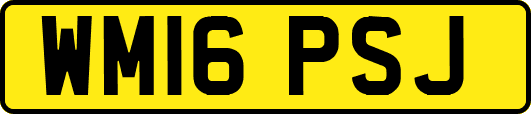 WM16PSJ