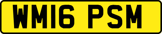 WM16PSM