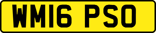WM16PSO