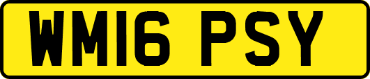 WM16PSY
