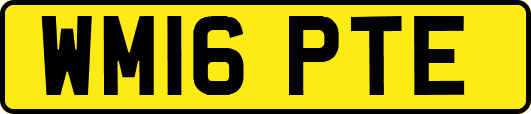 WM16PTE