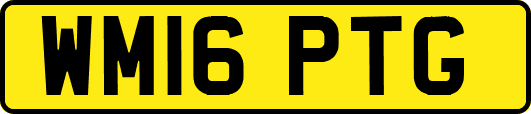 WM16PTG